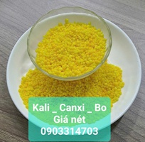 Phân bón trung vi lưỡng Kali- Canxi-bo. Hạt vàng tan nhanh 100 Phân bón trung vi lưỡng Kali- Canxi-bo. Hạt vàng tan nhanh 100