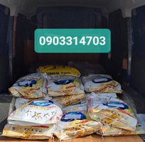 1 Phân bón trung vi lượng bổ sung Magie bao 25 kg- Uy tín - Chất lượng