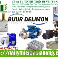 Bơm mỡ khí nén Bijur Delimon