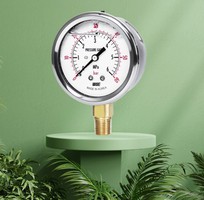 Wise P254   Đồng Hồ Đo Áp Suất Tin Cậy, Bền Bỉ Cho Mọi Hệ Thống   Dantek Phân Phối Toàn Quốc