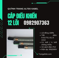 Cáp Điều Khiển 12 Lõi phân phối Hà Nội, Đà Nẵng, TP HCM