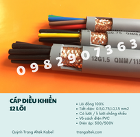 2 Cáp Điều Khiển 12 Lõi phân phối Hà Nội, Đà Nẵng, TP HCM