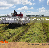 Quy Trình Hải Quan Xuất Khẩu Gạo