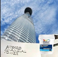 Dulux Professional   Tấm giáp bền vững cho công trình