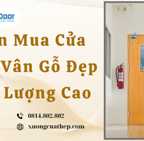 4 Chọn Mua Cửa Thép Vân Gỗ Đẹp Chất Lượng Cao
