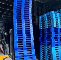 3 Chuyên Cung Cấp Pallet Nhựa Cũ Chất Lượng Cao Tại Bình Phước