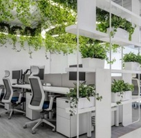 Đơn vị thi công nội thất văn phòng chuyên nghiệp đa phong cách