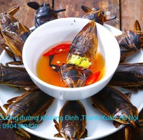 8 Bán đặc sản Cà Cuống nhiều tinh dầu thơm , lọ tinh dầu Cà Cuống , nước mắm Cà Cuống ở Hà Nội