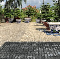 13 Cơ sở chậu hoa Thế Sơn - chậu hoa dán sành sứ - chậu khảm sành - cẩn miễng