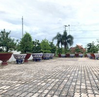 15 Cơ sở chậu hoa Thế Sơn - chậu hoa dán sành sứ - chậu khảm sành - cẩn miễng