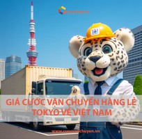 Giá cước vận chuyển hàng lẻ từ Tokyo về Việt Nam
