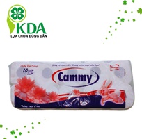 2 Khăn giấy ,vệ sinh nhà hàng khách sạn bến tre đbscl