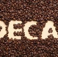 Quy trình sản xuất cà phê decaf