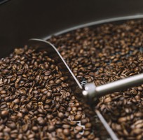 2 Quy trình sản xuất cà phê decaf