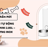Máy ăn tự động Petkit MINI 2.85L bát inox   MukuPet