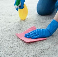 Thảm nhà bạn có thực sự sạch Thảm nhà bạn có thực sự sạch