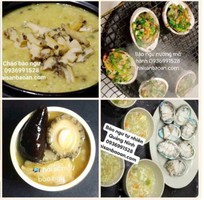 Báo giá bào ngư tuyển chọn giá tốt
