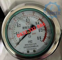 Đồng hồ áp suất 0-0.6MPa chính hãng tại Quảng Ngãi   Phân phối bởi Dantek