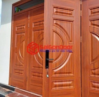 3 Cửa thép vân gỗ