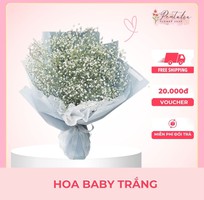 Nơi Gửi Gắm Cảm Xúc Qua Những Bó Hoa   Petalia