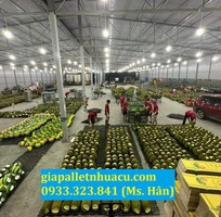 4  Bán Pallet Nhựa Cũ Giá Rẻ Tại Tiền Giang   Đẹp, Bền, Chất Lượng Nhất Năm 2025 