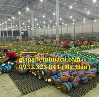 6  Bán Pallet Nhựa Cũ Giá Rẻ Tại Tiền Giang   Đẹp, Bền, Chất Lượng Nhất Năm 2025 