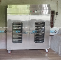 Giải pháp Máy sấy nấm chi phí đầu tư thấp cho quy mô vừa và nhỏ