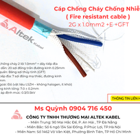 Cáp Chống Cháy Chống Nhiễu   Fire resistant cable   2x1.0mm2  E  GFT Altek Kabel