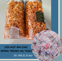 1 Gói hút ẩm bảo quản đông trùng hạ thảo