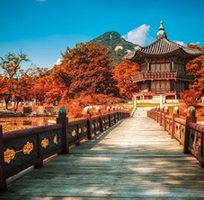 Du Lịch Việt - Chuyên cung cấp các tour du lịch Hàn Quốc chuyên nghiệp