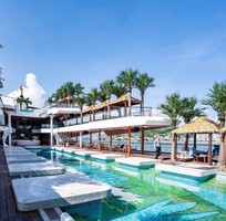 3 Voucher siêu tàu Thăm Vịnh Hạ Long 5 sao Dolphin Cruise