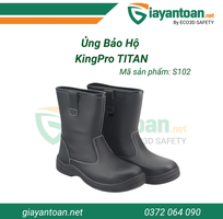 Giày bảo hộ S102