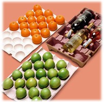 7 Khay đúc bằng bột giấy .