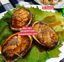Cần bán bào ngư tuyển chọn vip chuẩn