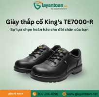 Giày bảo hộ K2 TE7000R