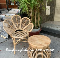 2 Ghế mây cánh hoa- Ghế đơn mây