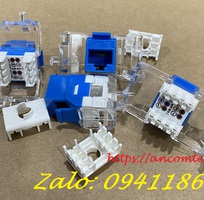 5 Thanh đấu nối Patch panel 48 cổng Cat6 UTP 2U mã ACT-48S2U, ACT-JK28-C6-US chính hãng ANCOMTECK