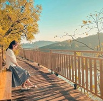 Cty Du Lịch Việt - sự lựa chọn cho chuyến đi du lịch Hàn Quốc giá cả hợp lý