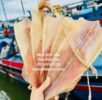 Cần bán mực câu khô vip ngon tuyển chọn