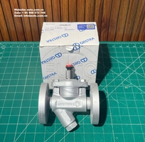 Van xả khởi động GESTRA