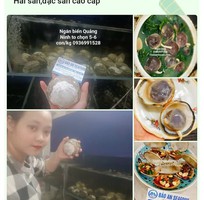 Cần bán ngán biển vip ngon tuyển chọn