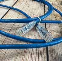 3  Phân phối dây nhảy mạng Cat6 chuẩn đồng 100   chất lượng cao cho dự án, công trình.