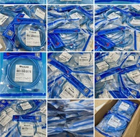 8  Phân phối dây nhảy mạng Cat6 chuẩn đồng 100   chất lượng cao cho dự án, công trình.