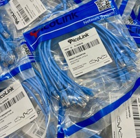 12  Phân phối dây nhảy mạng Cat6 chuẩn đồng 100   chất lượng cao cho dự án, công trình.