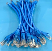 16  Phân phối dây nhảy mạng Cat6 chuẩn đồng 100   chất lượng cao cho dự án, công trình.