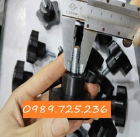4 Mua Chân Tăng Chỉnh M8, hoa 5 cánh ở đâu giá rẻ
