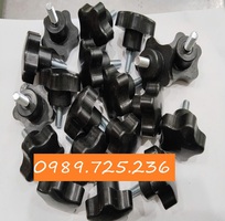2 Mua Chân Tăng Chỉnh M8, hoa 5 cánh ở đâu giá rẻ