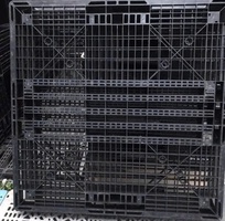 2  Bán Pallet Nhựa Tại Thủ Đức   Giá Rẻ Nhất Năm 2025   Giao Hàng Tận Nơi  2  Bán Pallet Nhựa Tại Thủ Đức   Giá Rẻ Nhất Năm 2025   Giao Hàng Tận Nơi