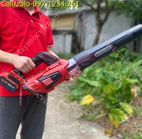 Máy thổi lá, bụi chạy pin Oshima TBP21V giá rẻ