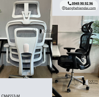 1 Ghế công thái học lưng lưới nệm lưới nhập khẩu CM4553-M tại HCM 1 Ghế công thái học lưng lưới nệm lưới nhập khẩu CM4553-M tại HCM